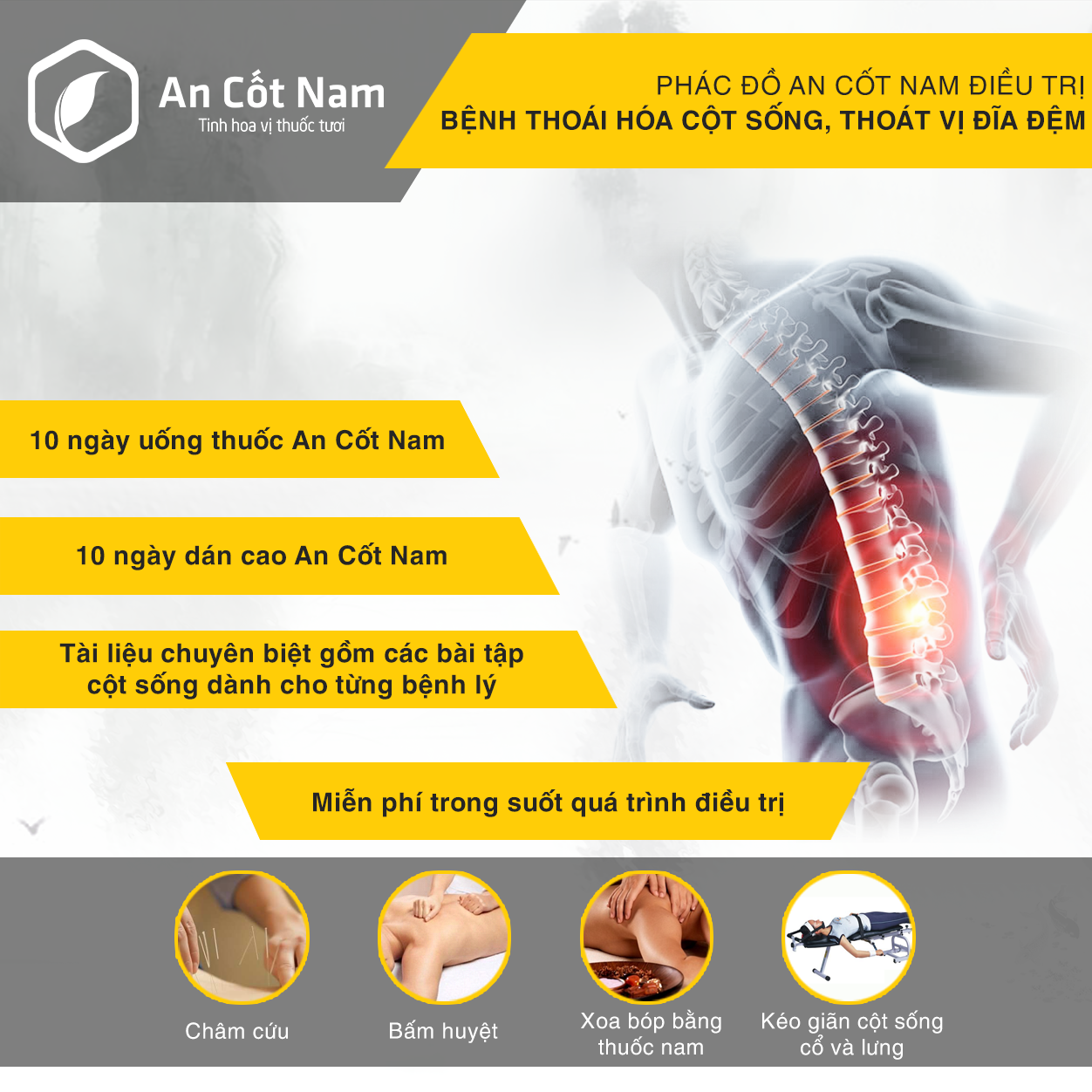 An Cốt Nam - Xua Tan Bệnh Cột Sống 11 phacdo6ancotnam 1